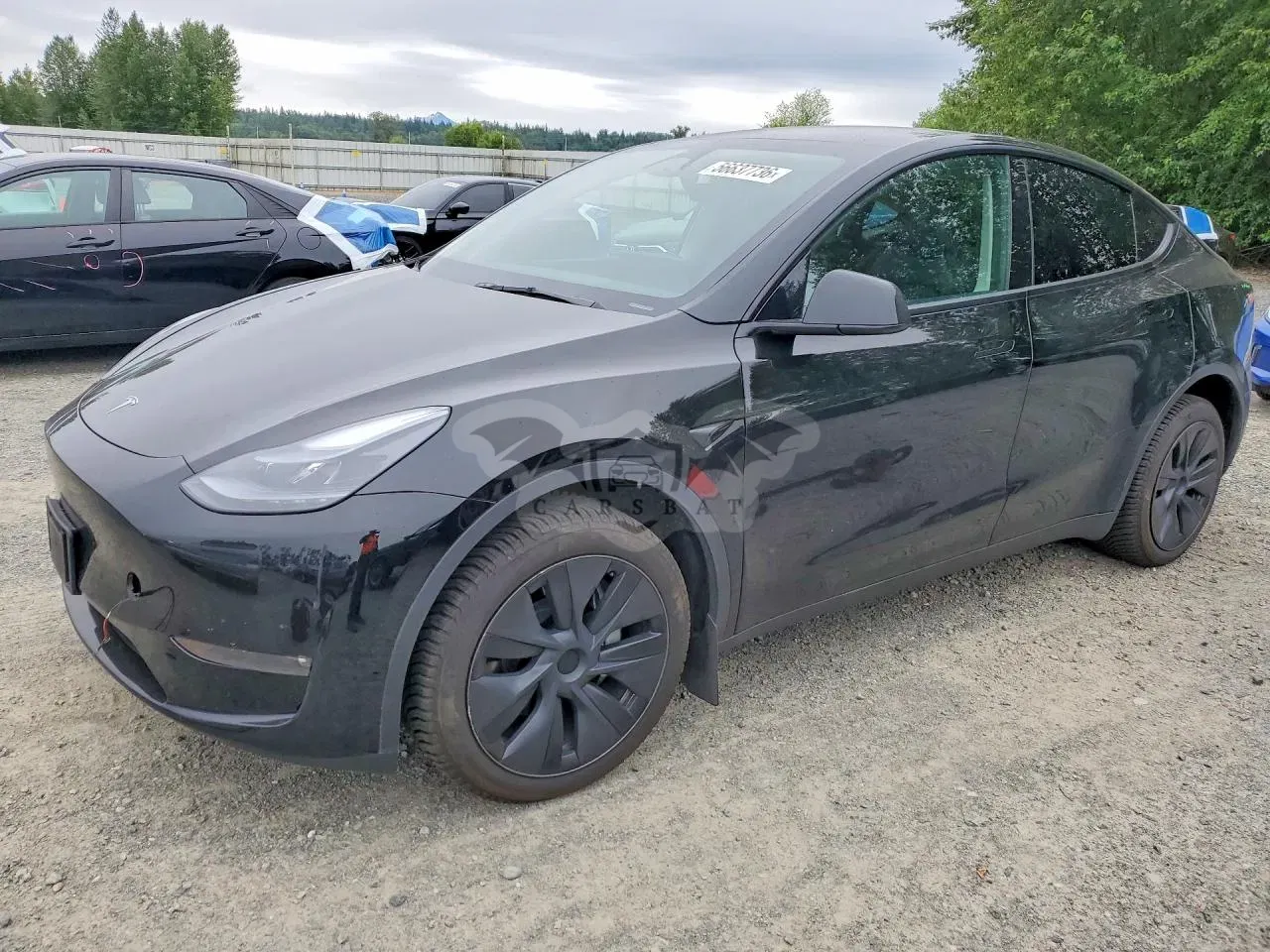 Tesla Model Y 2025