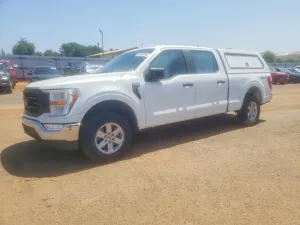 Ford F-150 5.0L 8 2022