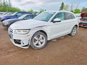 Audi Q5 2.0L 4 2019