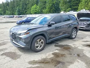 Hyundai Tucson 2.5L 4 2022