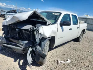 Chevrolet Silverado 1500 4.8L 8 2012