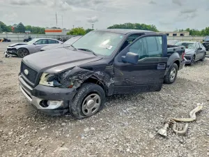 Ford F-150 4.6L 8 2006