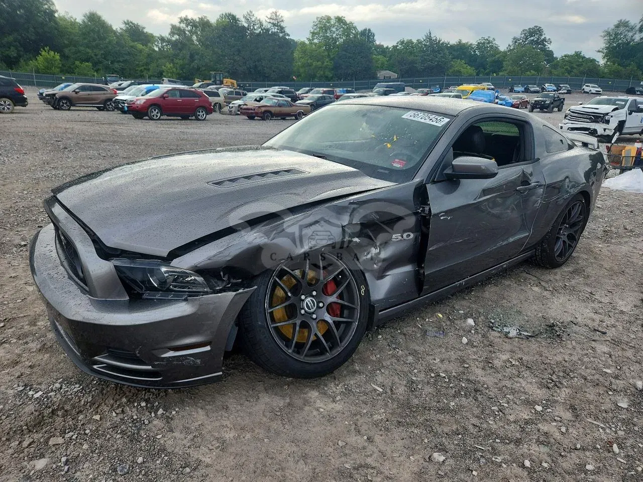 Ford Mustang 5.0L 8 2014