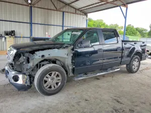 Ford F-150 5.4L 8 2007