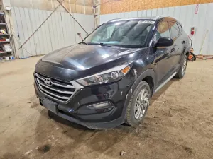 Hyundai Tucson 2.0L 4 2018