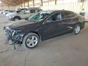 Chevrolet Malibu 1.5L 4 2023