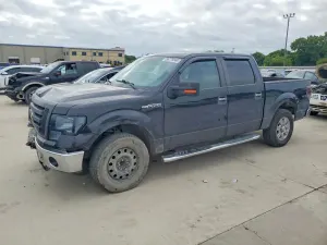 Ford F-150 4.6L 8 2010