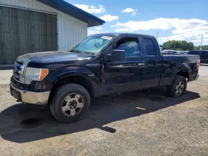 Ford F-150 4.6L 8 2009