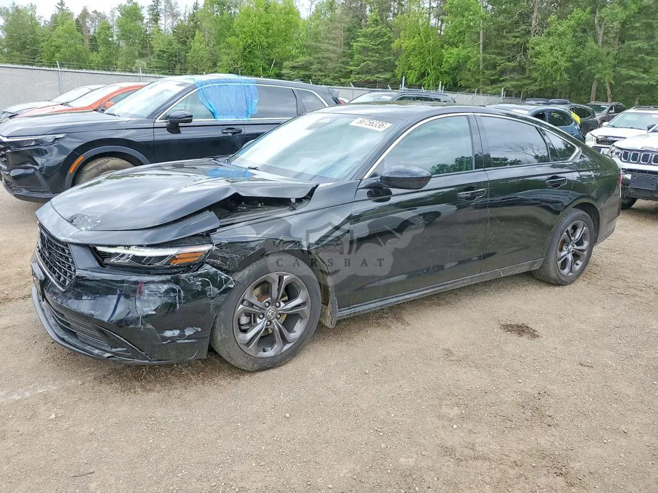 Honda Accord 1.5L 4 2024