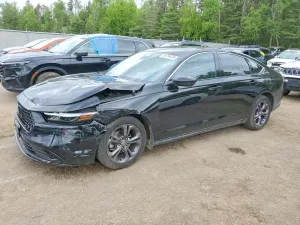 Honda Accord 1.5L 4 2024