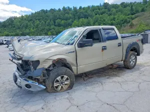 Ford F-150 4.6L 8 2010