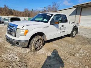 Ford F-150 5.4L 8 2009