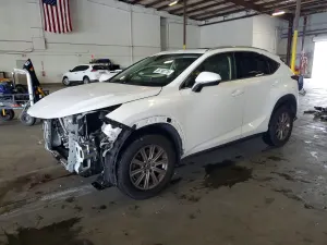 Lexus NX 2.0L 4 2019