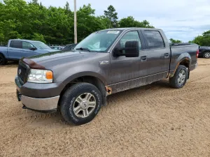 Ford F-150 5.4L 8 2005