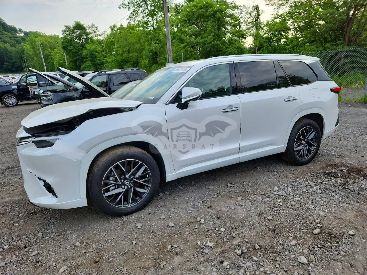 Lexus TX Series 2.4L 4 2025
