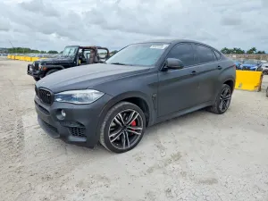 BMW X6 4.4L 8 2017