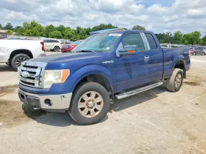 Ford F-150 4.6L 8 2009