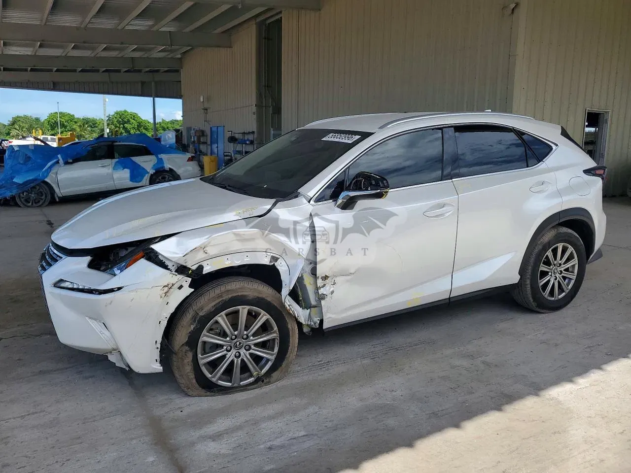 Lexus NX 2.0L 4 2020