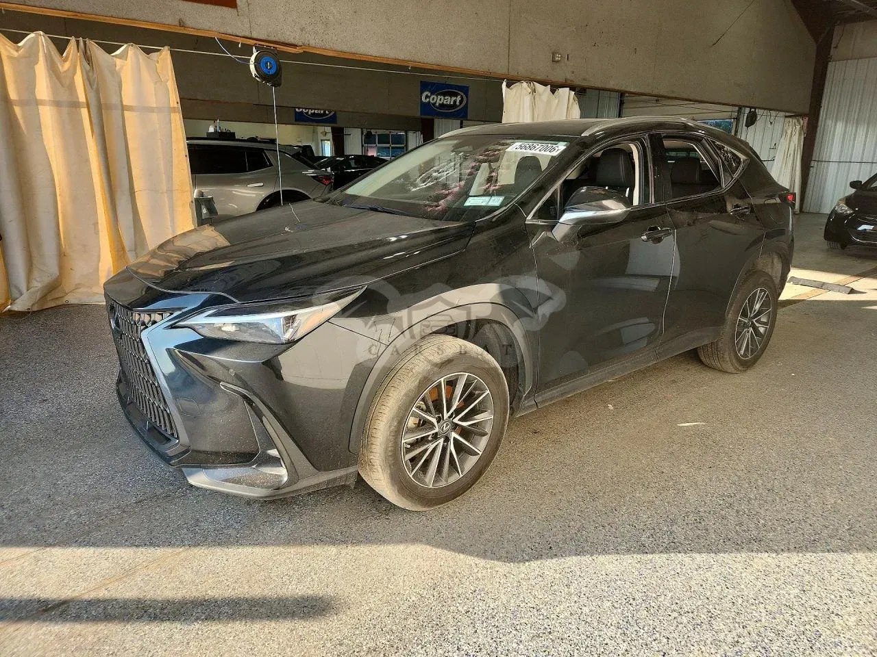 Lexus NX 2.4L 4 2022
