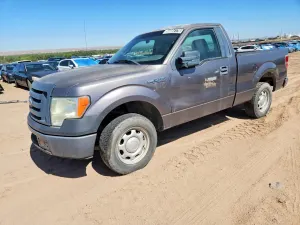 Ford F-150 4.6L 8 2010