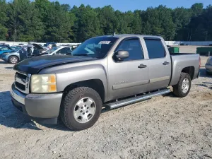 Chevrolet Silverado 1500 4.8L 8 2007