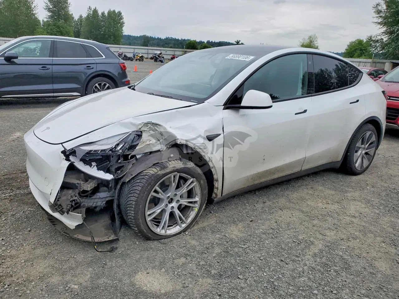 Tesla Model Y 2020