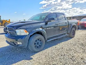 Dodge RAM 5.7L 8 2012