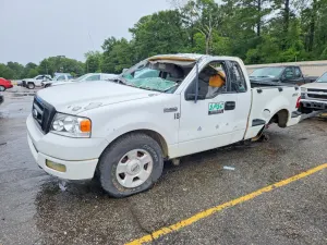 Ford F-150 4.6L 8 2004