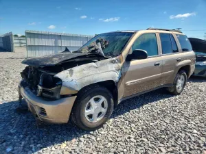 Chevrolet Trailblazer 4.2L 6 2002