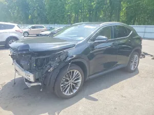 Lexus NX 2.4L 4 2022