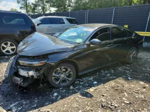 Honda Accord 1.5L 4 2023