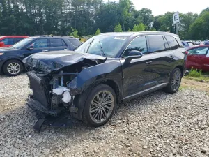 Lexus TX Series 2.4L 4 2024