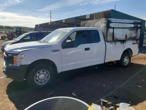 Ford F-150 5.0L 8 2019