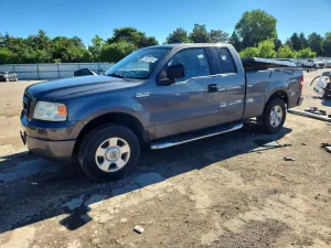 Ford F-150 4.6L 8 2004