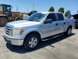 Ford F-150 4.6L 8 2010