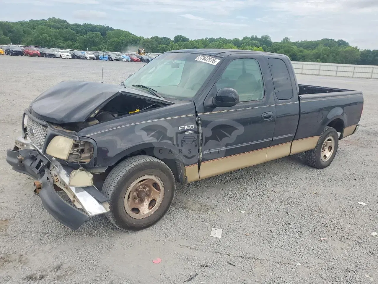 Ford F-150 5.4L 8 1999
