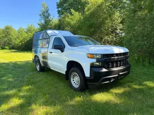 Chevrolet Silverado 1500 5.3L 8 2020