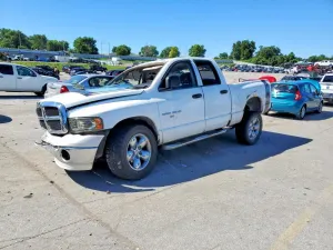 Dodge RAM 5.9L 8 2002