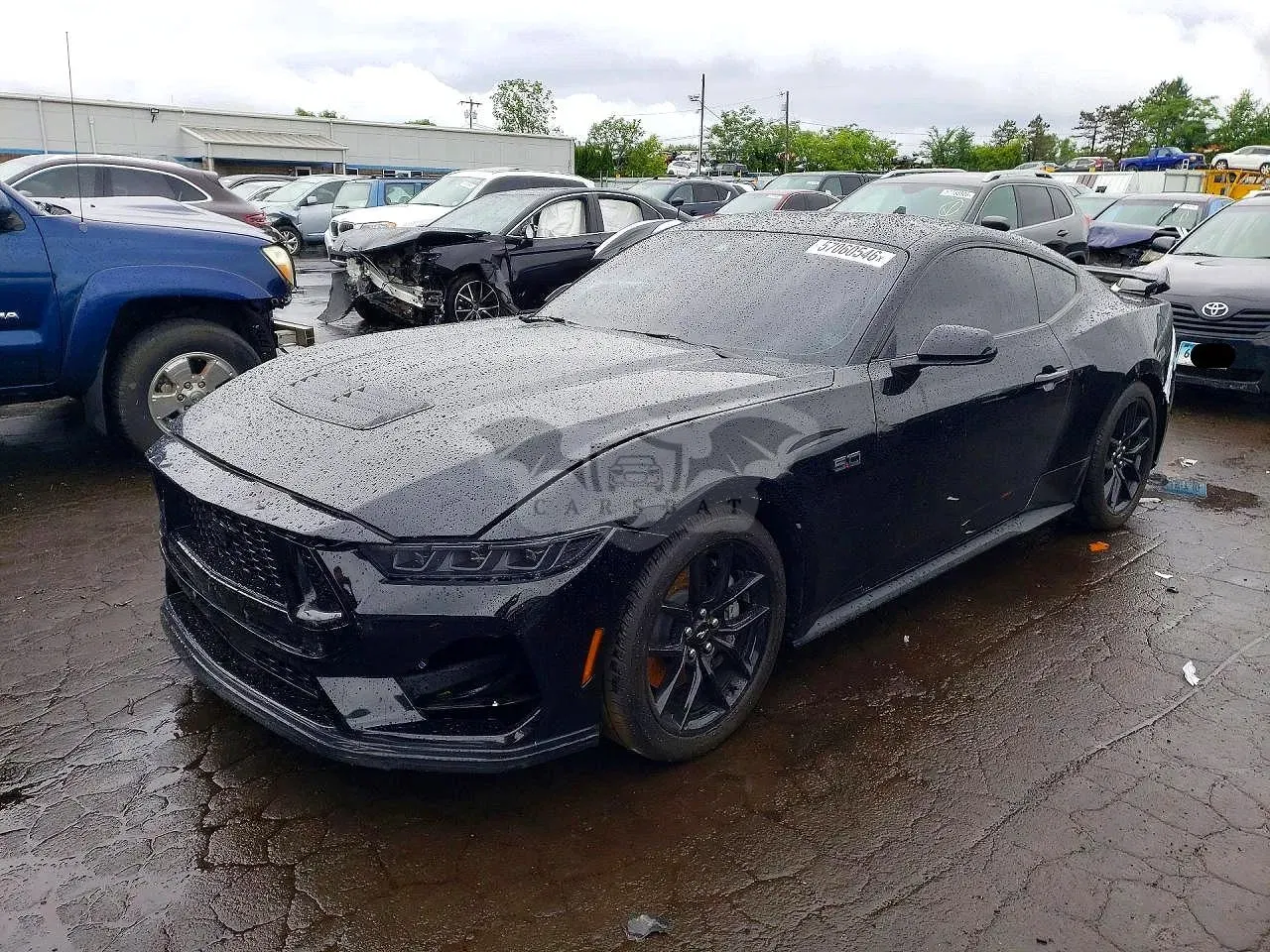 Ford Mustang 5.0L 8 2025