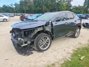 Lexus NX 2.4L 4 2025