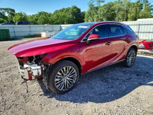 Lexus RX 2.4L 4 2023