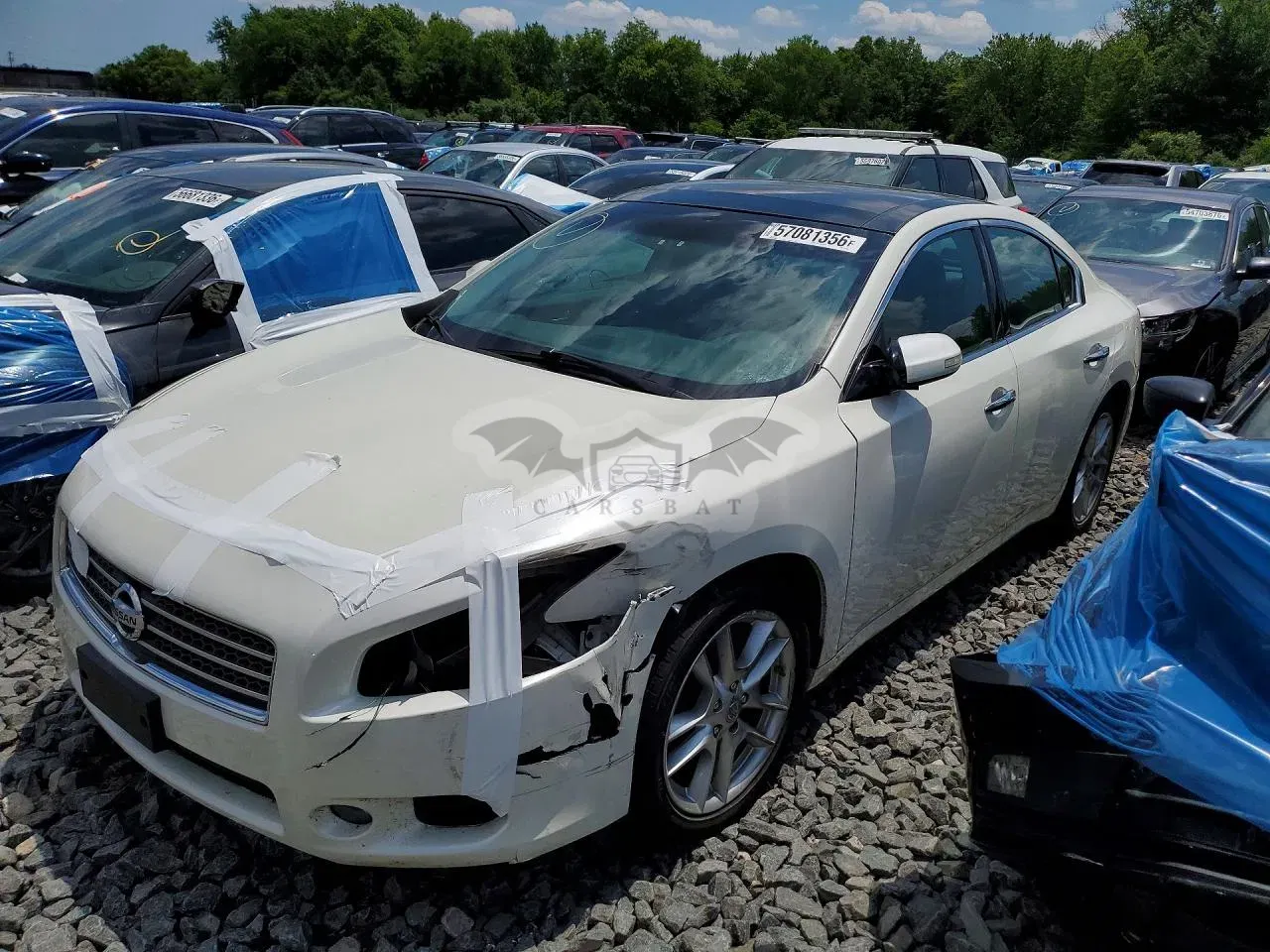 Nissan Maxima 3.5L 6 2009