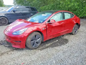 Tesla Model 3 2019