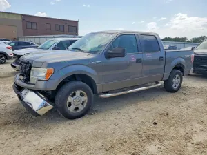 Ford F-150 4.6L 8 2010