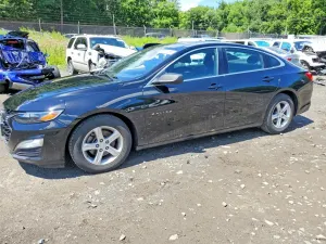 Chevrolet Malibu 1.5L 4 2019