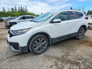 Honda CR-V 1.5L 4 2020