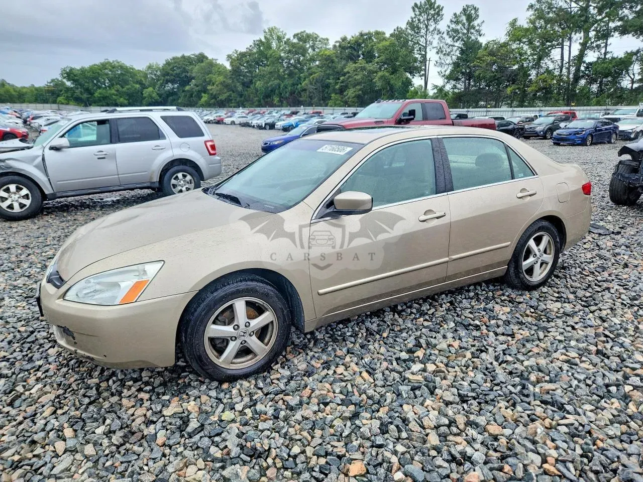 Honda Accord 2.4L 4 2005