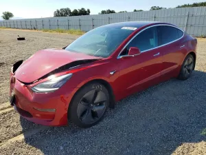 Tesla Model 3 2019