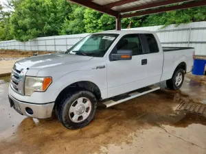 Ford F-150 4.6L 8 2010