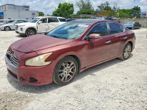 Nissan Maxima 3.5L 6 2010